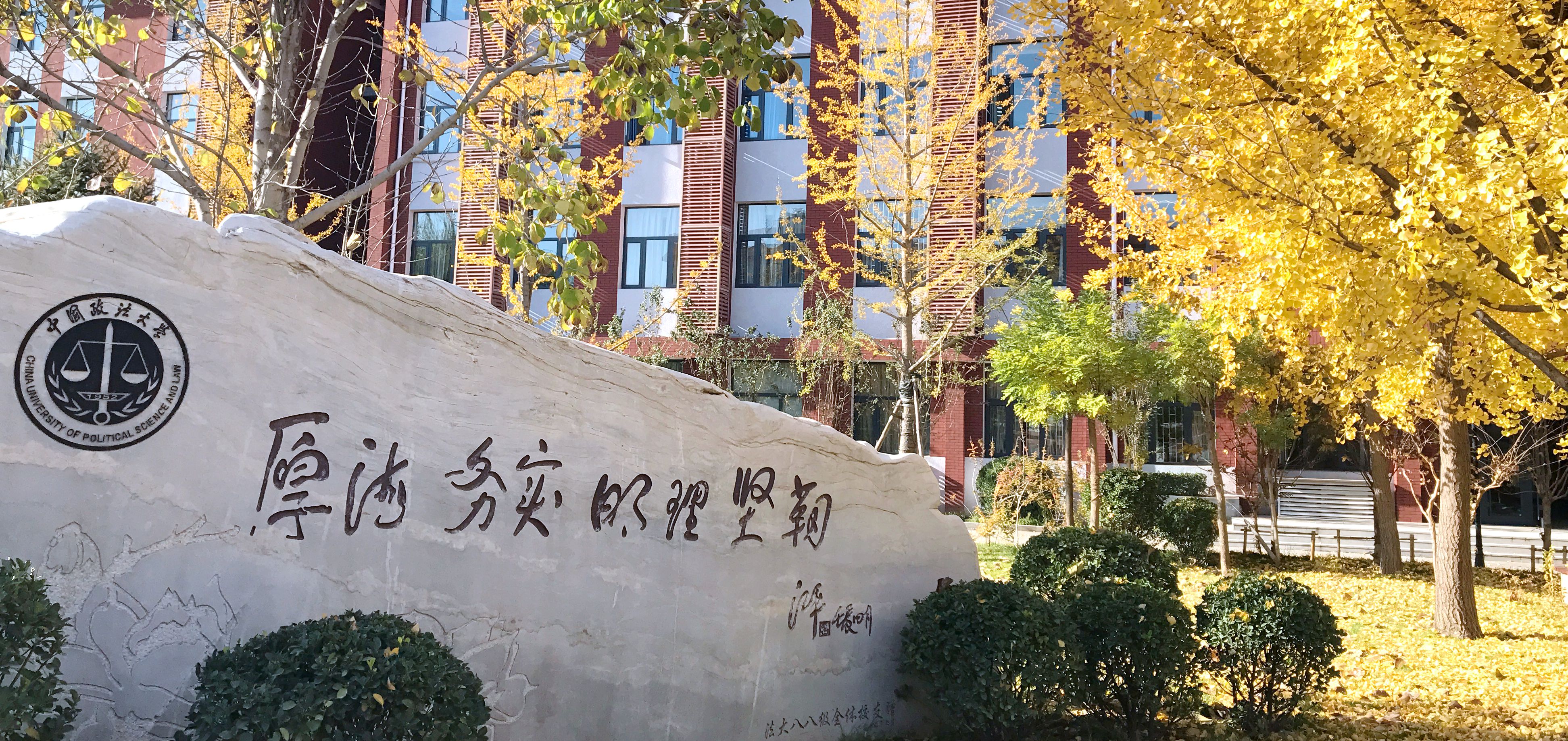 法学院 - 中国政法大学